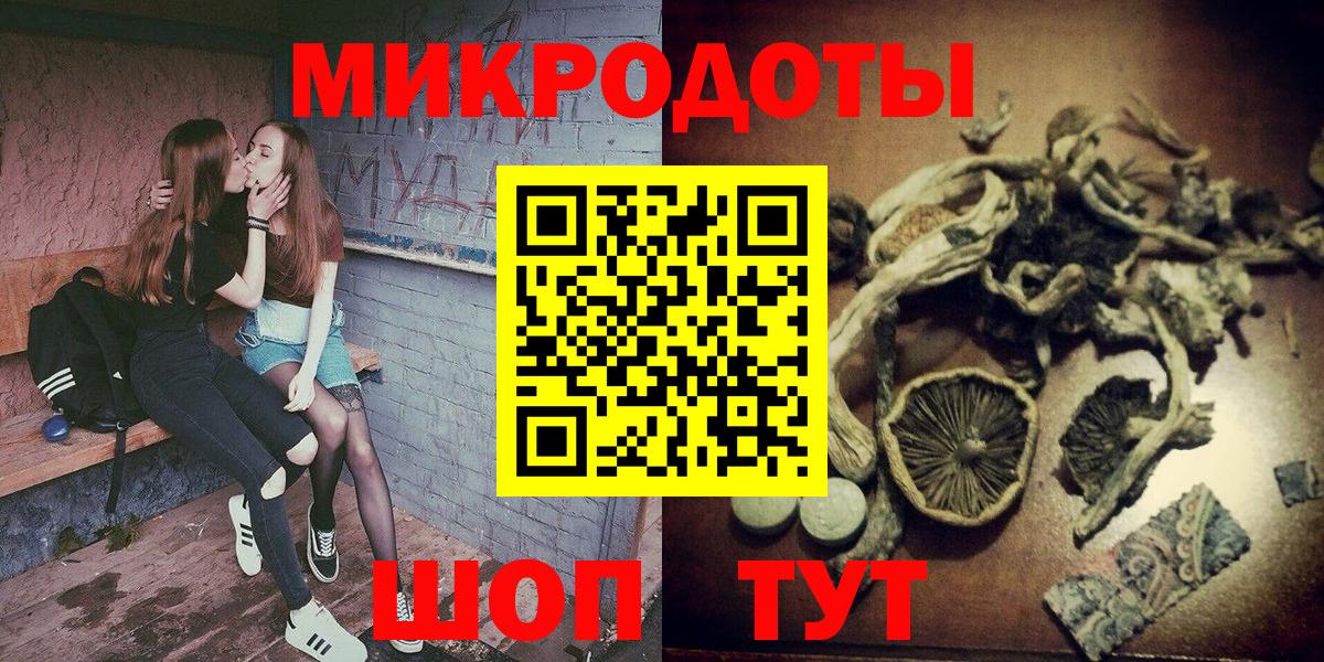 Псилоцибиновые грибы Cubensis  купить   Майский  Псилоцибиновые грибы Cubensis 