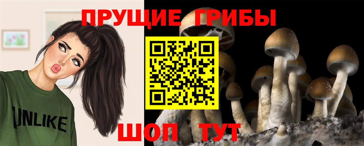Псилоцибиновые грибы мицелий Майский